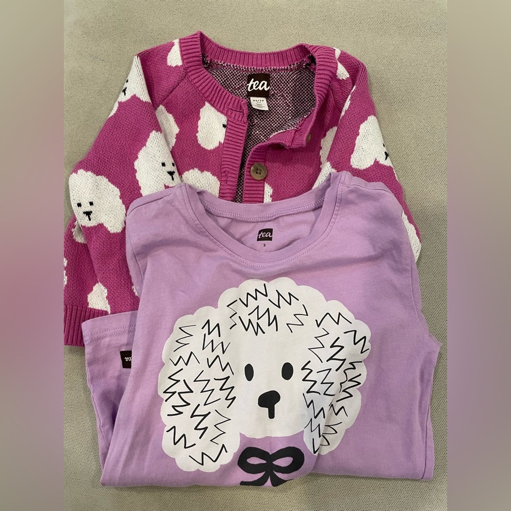 Like new Tea Collection shirt and sweater set! Size 3T.